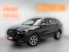 2021 Haval H6 2021 1.5T AT China tideChampion #1