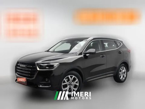 2021 Haval H6 2021 1.5T AT China tideChampion