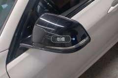 Left Exterior Mirror