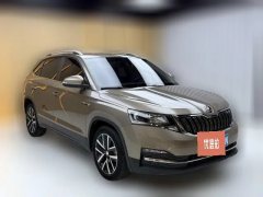 2021 Škoda Kamiq 2020 1.5 AT Comfort #2