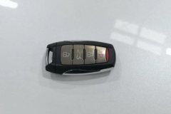 2020 Haval H6 2021 1.5T AT Champion #10