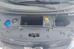 2024 BYD Dolphin 2025 420km vitalityEdition #10