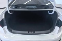 2023 Volkswagen Sagitar 2023 1.5T AT 300TSI DSGSurpass #4