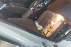2015 BMW 5 Series 2014 2.0T AT 525LiLeading #8