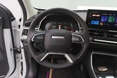 2021 Haval H6 2021 1.5T AT China tideChampion #15