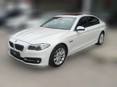 2015 BMW 5 Series 2014 2.0T AT 528LiLeading #1