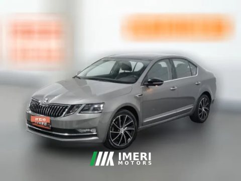 2017 Škoda Octavia 2018 1.4T AT TSI280Luxury