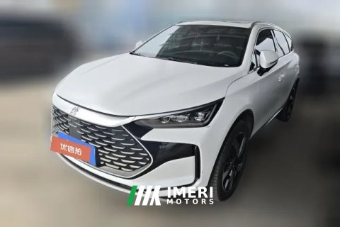 2024 BYD Tang PHEV 2024 1.5T AT DM-i Glory 112KM Premium