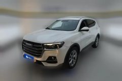 2021 Haval H6 2021 1.5T AT China tideChampion #1