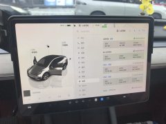 2022 Tesla Model 3 2022 rear wheel driveEdition #5