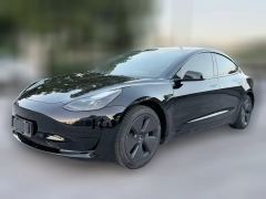 2021 Tesla Model 3 2021 StandardBattery lifeRWDUpgradeEdition #1