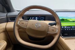 2025 Dongfeng Fengshen Dongfeng Fengshen L8 2025 185KMdreamEdition #15