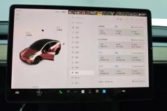 2021 Tesla Model Y 2021StandardBattery lifeRWDEdition #14