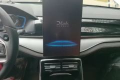 2023 BYD Tang New Energy 2023 1.5T AT DM-i Champion 112KM Honor #13