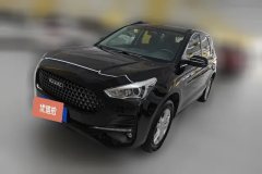 2019 Haval M6 2019 1.5T AT DCTElite China VI #1
