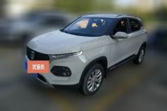 2021 Baojun 510 2021 1.5 AT Enjoy #1