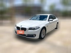 2015 BMW 5 Series 2014 2.0T AT 525LiLeading #1