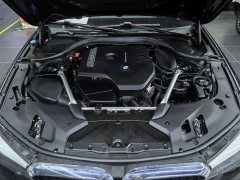 2019 BMW 5 Series 2019 2.0T AT 525Li MSport Pkg #13