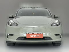 2021 Tesla Model Y 2021StandardBattery lifeRWDEdition #2