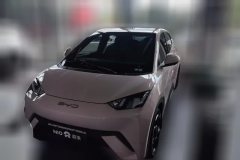 2024 BYD Seagull 2023 freeEdition #1