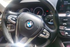 2019 BMW 5 Series 2019 2.0T AT 525LiLuxury Pkg #15