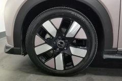 2022 BYD Dolphin 2021 401km knightEdition #6
