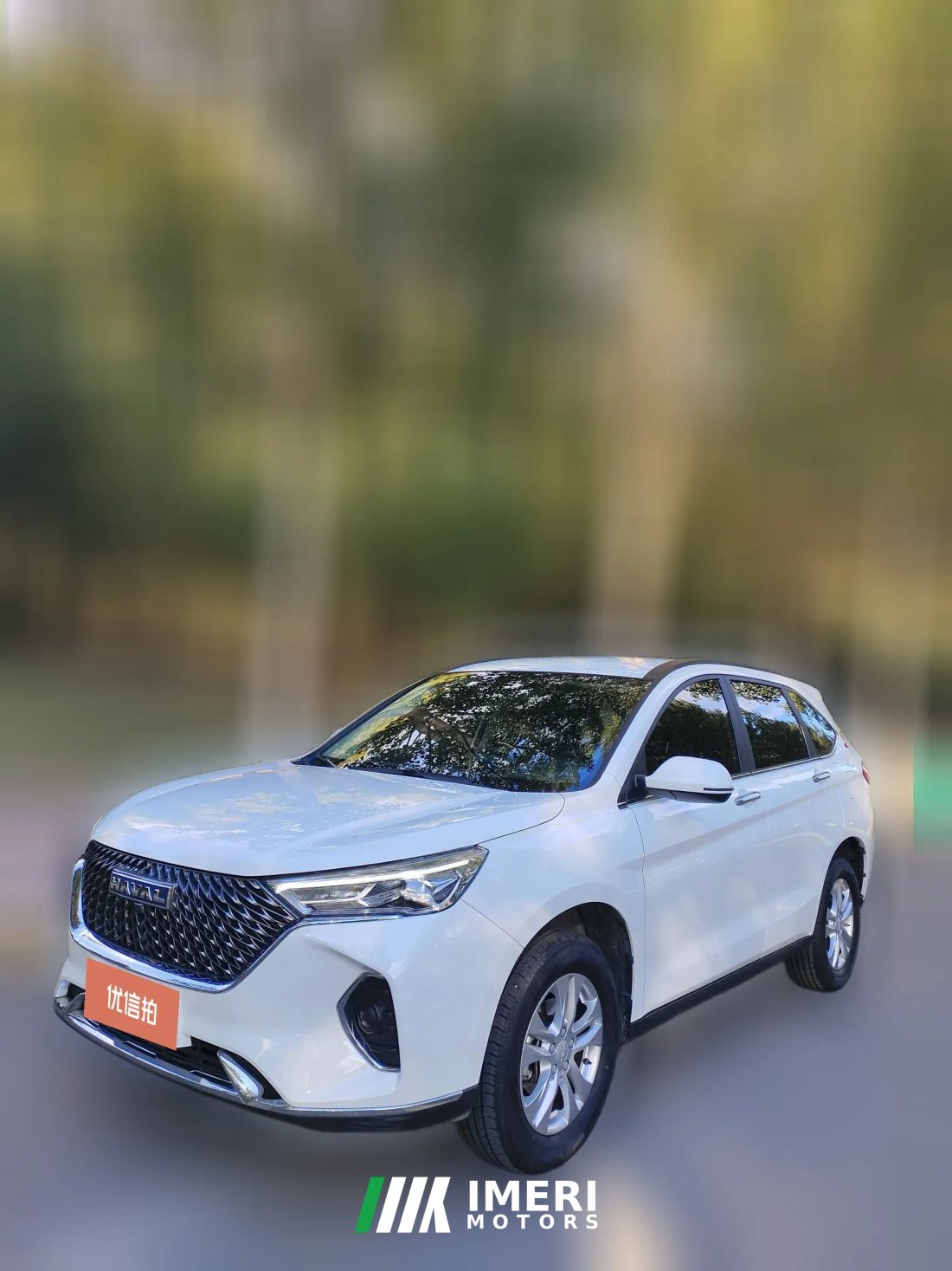 2024 Haval M6 2021 PLUS 1.5T AT DCTLiu Yan joint nameEdition