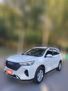 2024 Haval M6 2021 PLUS 1.5T AT DCTLiu Yan joint nameEdition #1
