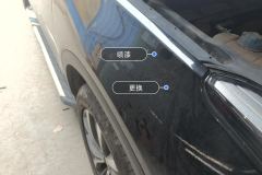 Right Front Fender