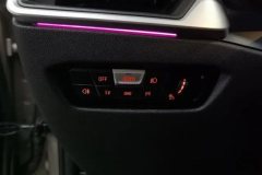 2019 BMW 3 Series 2020 2.0T AT 325LiFirst Edition #24