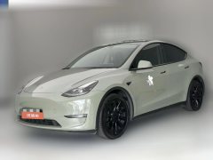 2021 Tesla Model Y 2021StandardBattery lifeRWDEdition #1