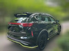 2021 Haval Chitu 2021 1.5T AT ProvokingEdition golden rabbit #4