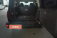 2021 Tank 300 2021 Off-road 2.0TAT conqueror #4