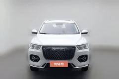 2021 Haval H6 2021 2.0T AT ChampionGDI #3