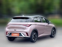 2022 BYD Dolphin 2021 405km Fashion #16