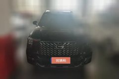 2024 GAC Trumpchi Trumpchi GS8 2025 PilotSeries 2.0TGDI AT 2WDLuxury 5Seat #2