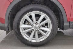 2016 Nissan Qashqai 2016 2.0 AT Elite #15