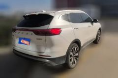 2024 Haval H6 2023 China tideEdition 1.5T AT Champion #3