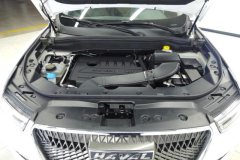 2020 Haval H6 2021 1.5T AT Champion #10