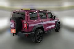 2021 Tank 300 2021 Off-road 2.0TAT conqueror #3