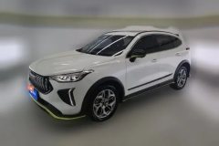 2022 Haval Chitu 2022 Power Enjoy 1.5T AT Copper Rabbit #1