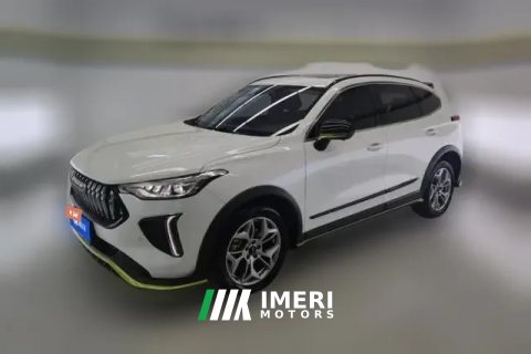 2022 Haval Chitu 2022 Power Enjoy 1.5T AT Copper Rabbit