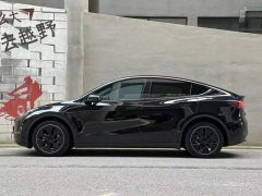2021 Tesla Model Y 2021Long Rangeall wheel driveEdition 3D7 #8