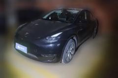2021 Tesla Model Y 2021StandardBattery lifeRWDEdition #1