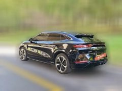 2025 BYD Song L EV 2025 Smart Drive 662km LiDAR Excellence #9