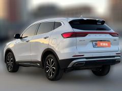 2023 Haval H6 2023 China tideEdition 1.5T AT Champion #7