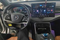 2023 BYD Tang PHEV 2023 1.5T AT DM-i Champion 112KM Honor #12