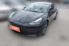 2021 Tesla Model 3 2021 StandardBattery lifeRWDUpgradeEdition #1