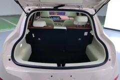 2024 Ora Good Cat 2024 401km Luxury #4