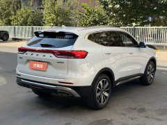 2024 Haval H6 2023 China tideEdition 1.5T AT Champion #9